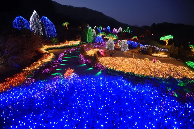 晨靜樹木園五色星光庭園展。韓國觀光公社提供