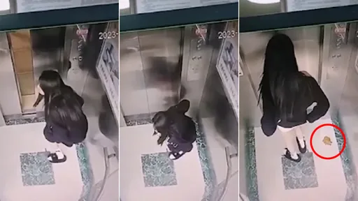 以為是電梯、原來是馬桶 長髮妹「急速送黃金」不清理溜了