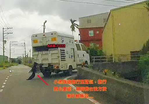 驚悚!動保處車勒頸拖行小黑狗「掙扎到死」 桃園農業局急曝真相