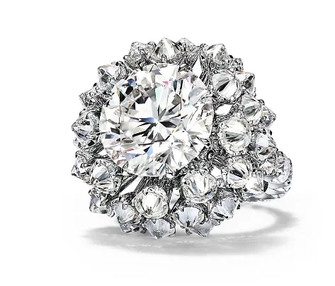 Tiffany 2023 Blue Book高級珠寶系列幻海秘境Out of the Blue-18K白金鑲嵌主石逾10克拉鑽石戒指。品牌提供