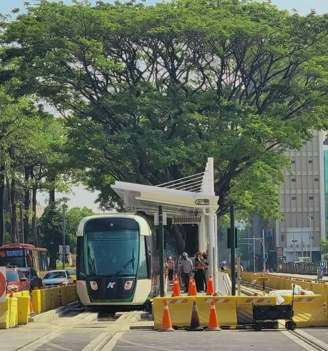 高雄環狀輕軌沿線計畫補植112株雨豆樹，提升沿線景觀、增加遮蔭功能，也讓輕軌增一段「龍貓隧道」。捷運局提供