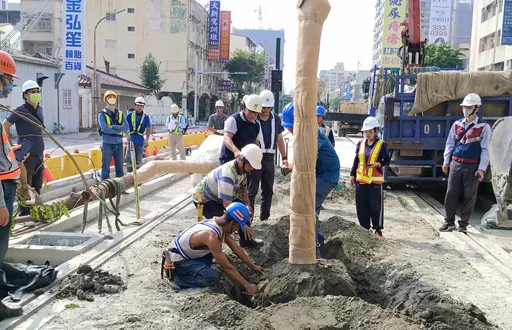 高雄輕軌年底成圓!補植雨豆樹增加綠蔭 再創龍貓隧道