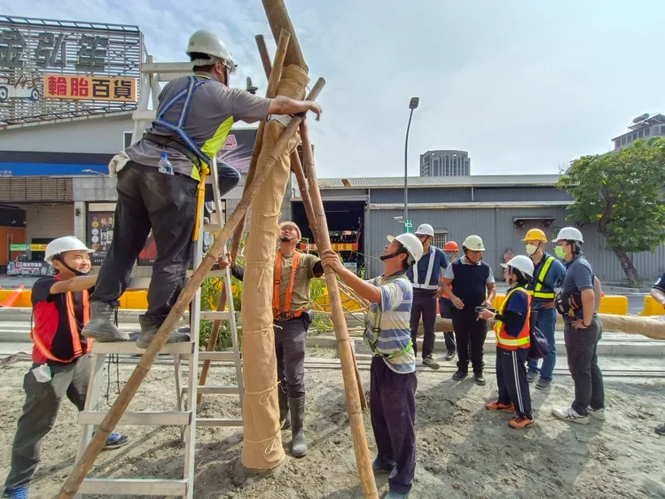 高雄環狀輕軌沿線計畫補植112株雨豆樹，提升沿線景觀、增加遮蔭功能，也讓輕軌增一段「龍貓隧道」。捷運局提供