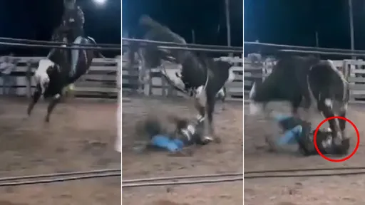 驚悚影片|17歲牛仔被牛「一腳踩死」 正中左胸讓他心臟驟停