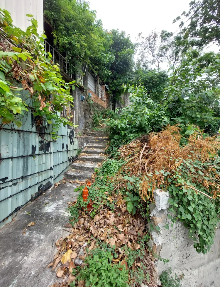 古道通往山上休憩公園與淨水池，已經超過110年的歷史。凃建豐攝