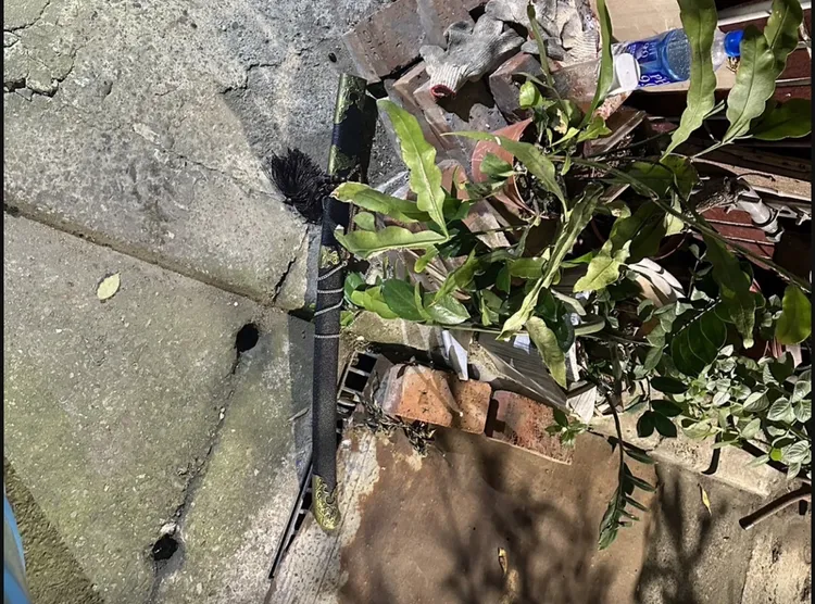 警方現場查獲凶器武士刀。翻攝畫面