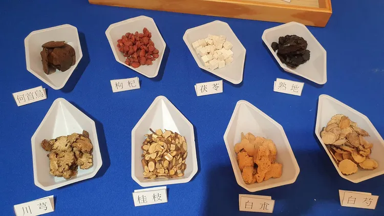 補冬常用藥材。林芳如攝