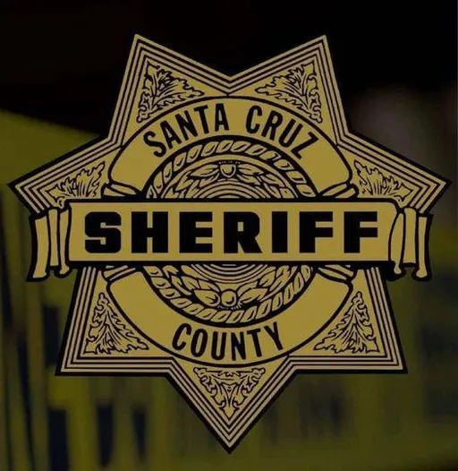 美國5歲雙胞胎吵架　男童竟揮刀捅死手足