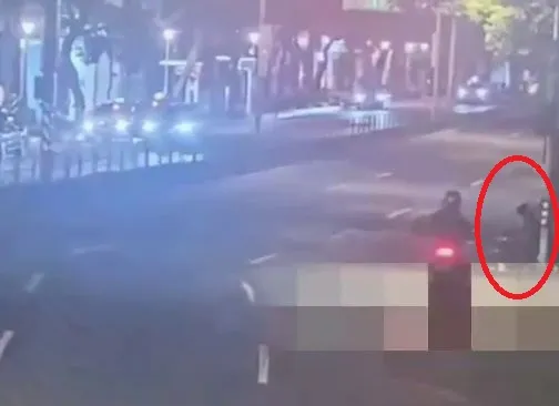 騎士蛇行自撞路邊市場告示牌　起身牽車閃人！賠錢外還得吊扣駕照3個月
