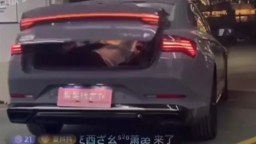 後車箱囚業務「公主殿下不解鎖」　直播賣車秀智能語音糗大了