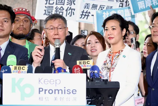 吳欣盈當立委1年出馬選副總統 財金外交經歷一次看