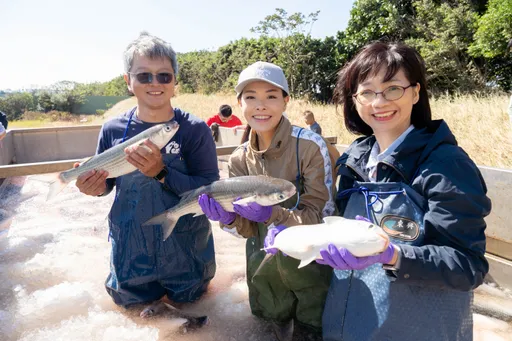 高虹安行動力挺在地漁業 邀國人品嘗新竹好物「烏魚子」