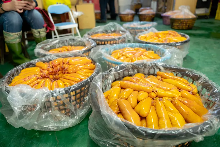 九降風黃金烏魚子。新竹市府提供