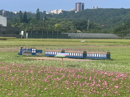 「桃園花彩節」本周六大溪月眉登場 交通疏導措施看過來