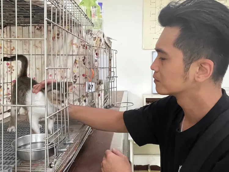 小貓個性溫和，經過手術及3周的康復期，幼貓成功找到一個幸福的家。動保處提供