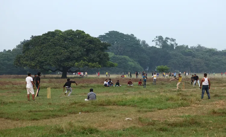 加爾各答民眾在公園打板球。路透社