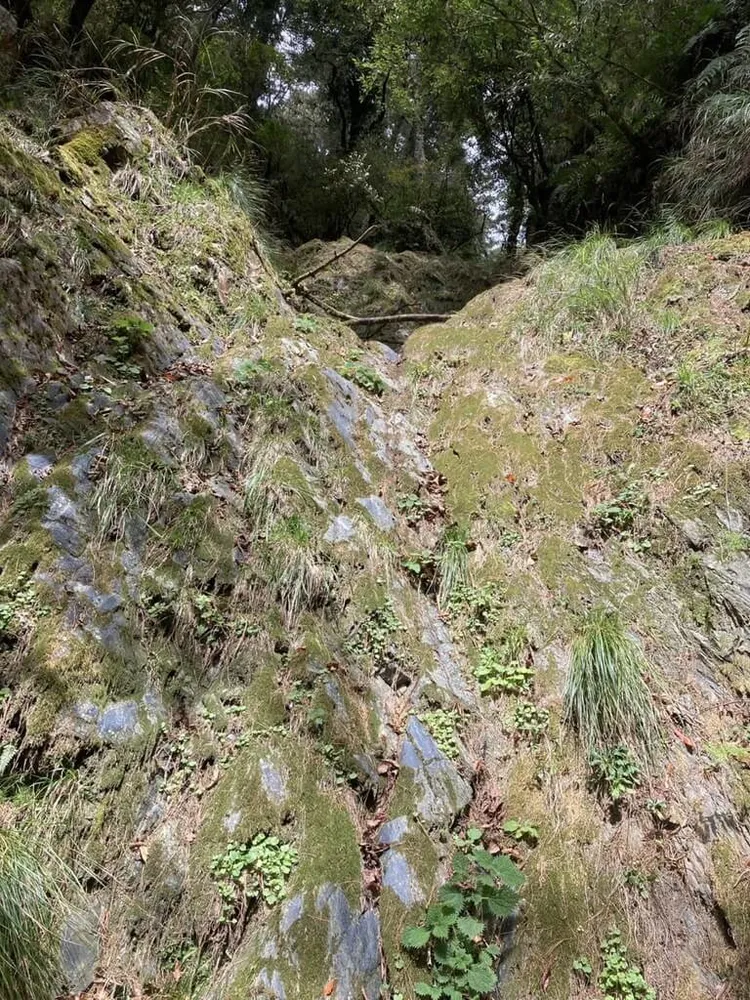 47歲高姓山友摔落地點距離步道約150公尺，救援難度高。花蓮縣消防局提供