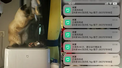 笑噴!貓咪半夜瘋狂洗衣 機器崩潰通知主人「已清洗40次」