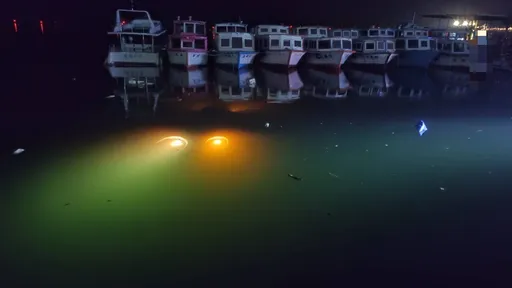 小客車駕駛誤闖石門水庫碼頭 眼睜睜看著座車沉入水中