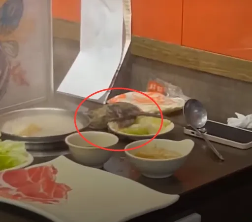 錢都「天降巨鼠」砸桌嚇壞吃鍋客　衛生局稽查最重可罰2億