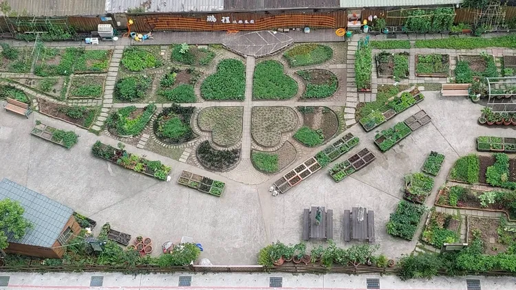 獲獎的北市鵬程快樂農園幸運草造型。公園處提供