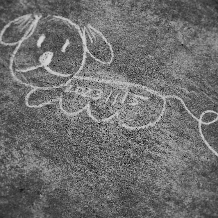 吳映潔慨歎說，只能讓時間慢慢沖淡Gaga離世的悲傷了。翻攝自吳映潔臉書