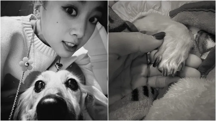 Gaga的離世，讓吳映潔受到相當大的打擊。翻攝自吳映潔臉書