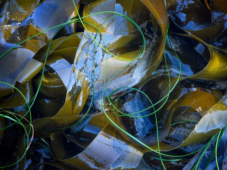 ©Eric Bennett／Natural Landscape Photography Awards