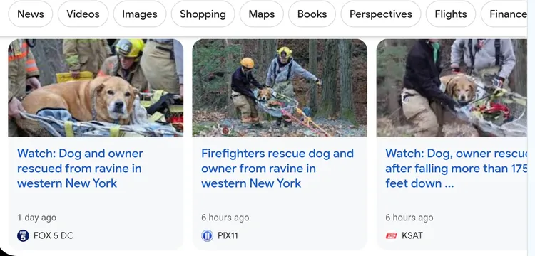美國多家媒體報導狗狗獲救新聞。翻攝臉書/ovidnyfire