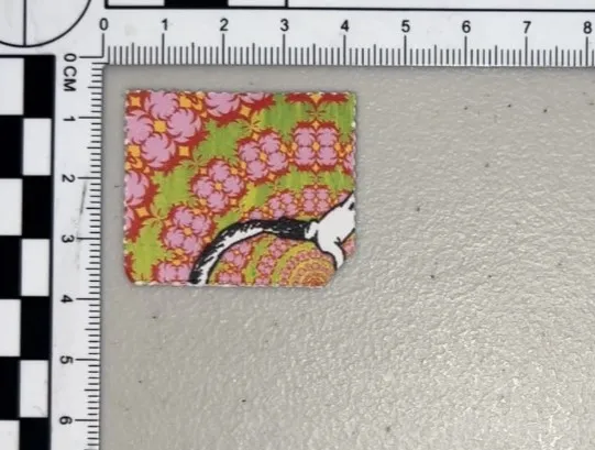 毒販將液態藥物浸泡在紙片內，背面打孔劃成數十小格，類似郵票，因而有「毒郵票」之稱。民眾提供