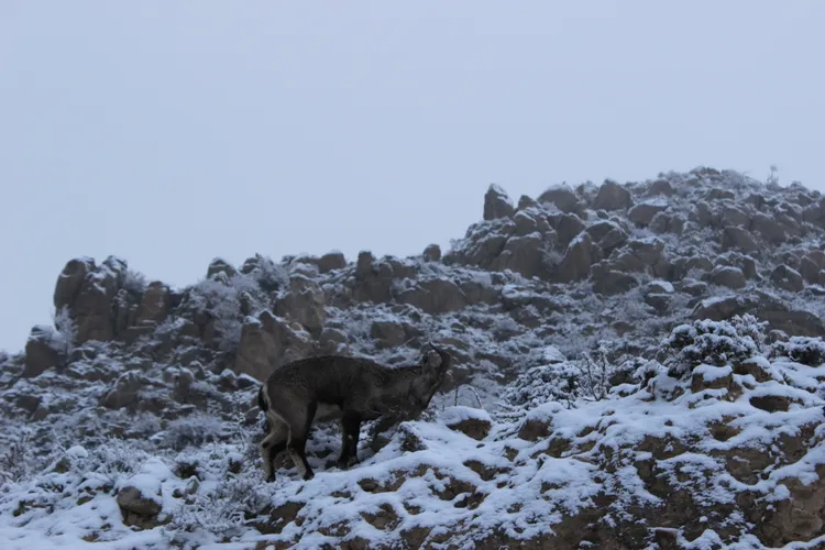 中國最夯的公務員職務是位於寧夏回族自治區的基層科員，1個缺有3572名碩士競爭。圖為位於寧夏的賀蘭山景。翻攝wiki/寧夏回族自治區