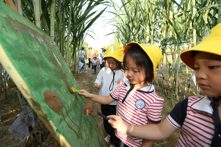 浙江紹興一群兒童在甘蔗田中，以泥巴作畫。新華社