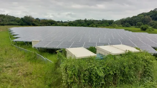 農林公司400頃農地選前闖關改種電　農業部打槍：不可能！只能屋頂型
