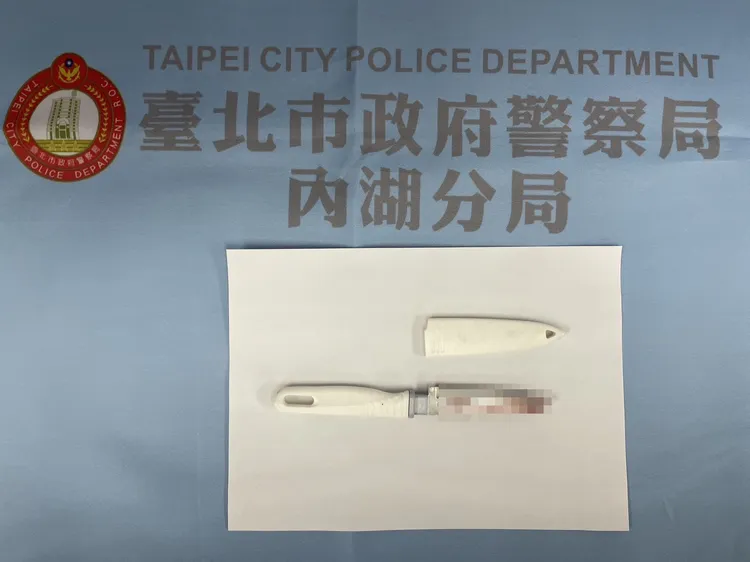 兇嫌使用水果刀刺死自己的阿姨。翻攝畫面