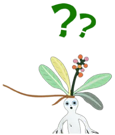 LOEWE x Suna Fujita聯名LINE貼圖