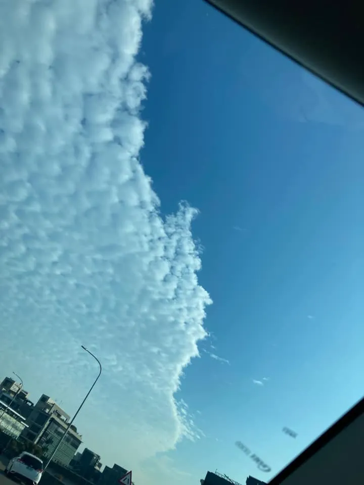 許多民眾拍下畫面。翻攝自信義區三兩事