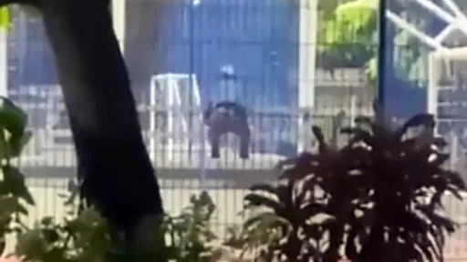 他們公園嘿咻「狂搖屁股蛋」　不甩天真孩童經過身旁