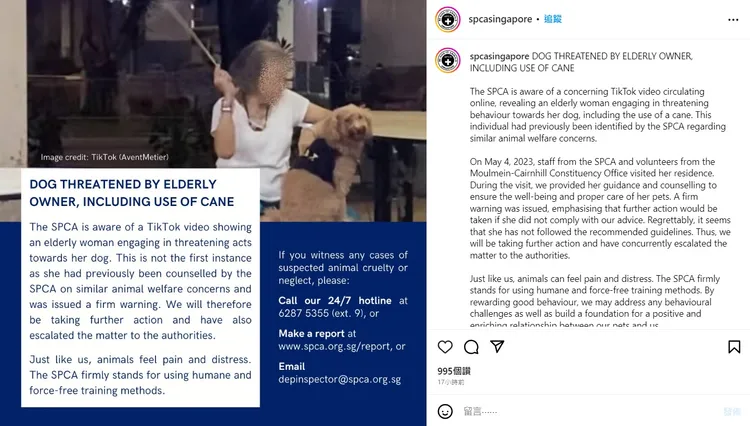 SPCA透露這名婦人不是初犯。翻攝IG/spcasingapore