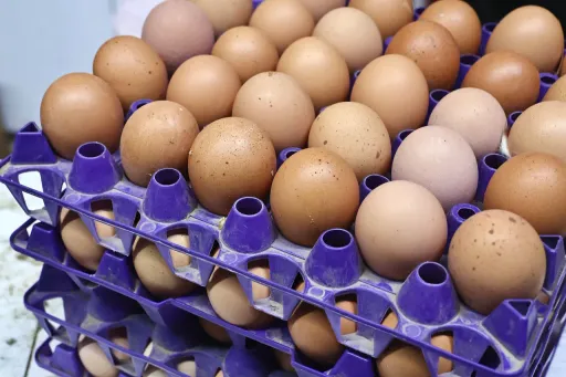 美廉社所有盒裝蛋降2元 茶葉蛋仍2顆18元