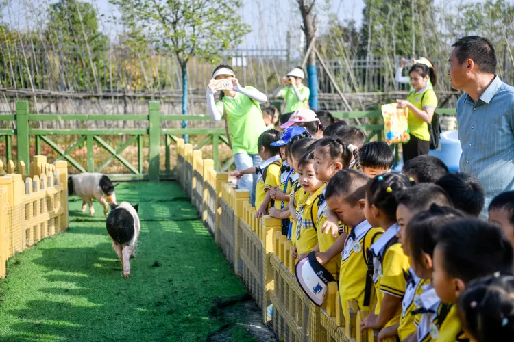 學童在黃梅縣的鄂東動物園參觀。新華社