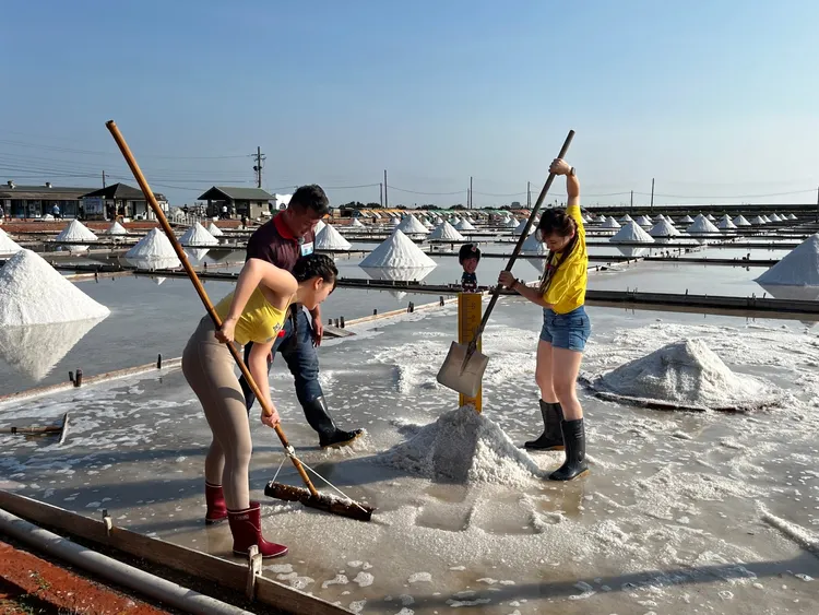 藝人們體驗「鹽收」工作。民視提供
