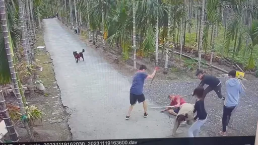 驚悚影片!討債砍人的被鋤頭放倒 擊中頭部倒地沒了動靜