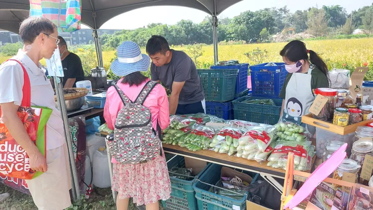 梓感農村文化節的有機蔬菜攤位。凃建豐攝