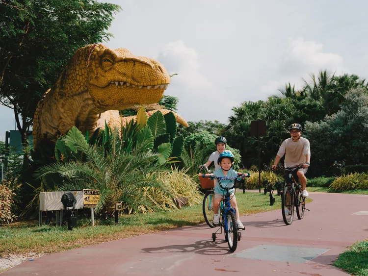 翻攝樟宜機場臉書