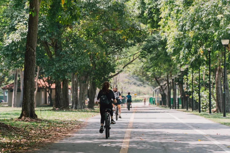 翻攝樟宜機場臉書