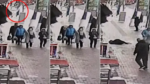 驚悚影片|天降「巨大冰錐」正中頭頂 路人倒地命危