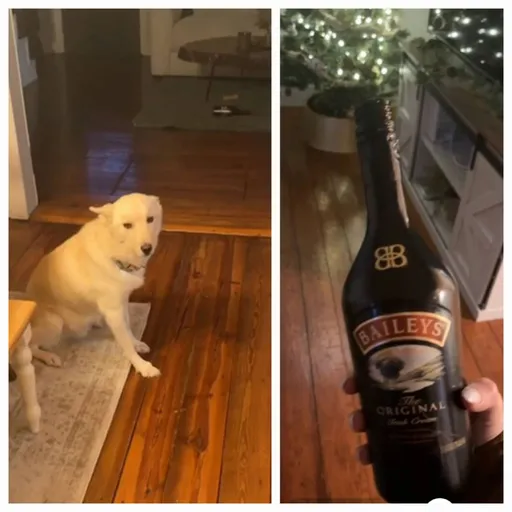 米克斯偷喝半瓶威士忌 一走路就穿幫了