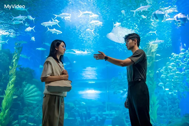 柯佳嬿（左）和翟子路戲外相差13歲。MyVideo提供