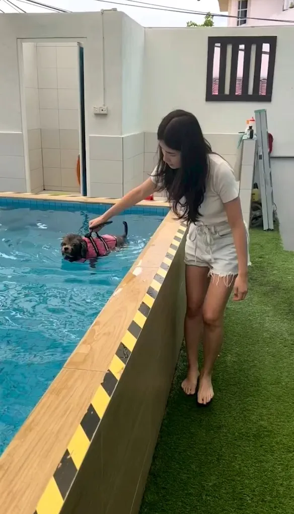 訓練小狗游泳。IG@yunxii4134 提供