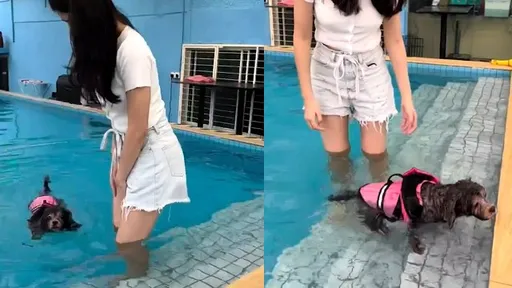 單身狗能嗎？　也想追著她跑了